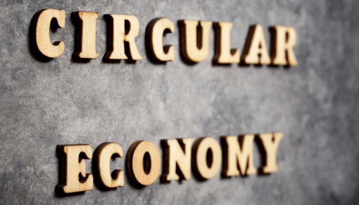 Circular Economy in Electronics and Electrical Sector