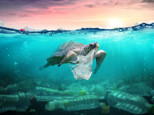 India introduces amendment to plastic waste management rules