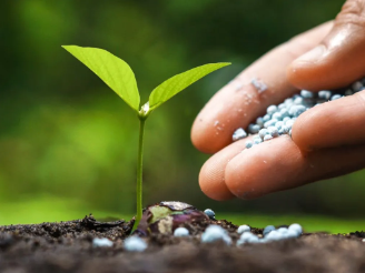 Indian Government Tightens Regulations for Biostimulants in Agriculture